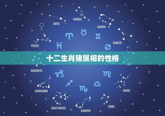十二生肖猪属相的性格，”猪”作为十二生肖之一的含义