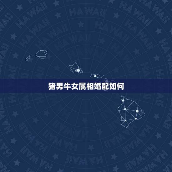 猪男牛女属相婚配如何，女属猪和男属牛配吗？