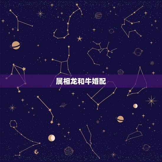 属相龙和牛婚配，龙和牛属相合不合财