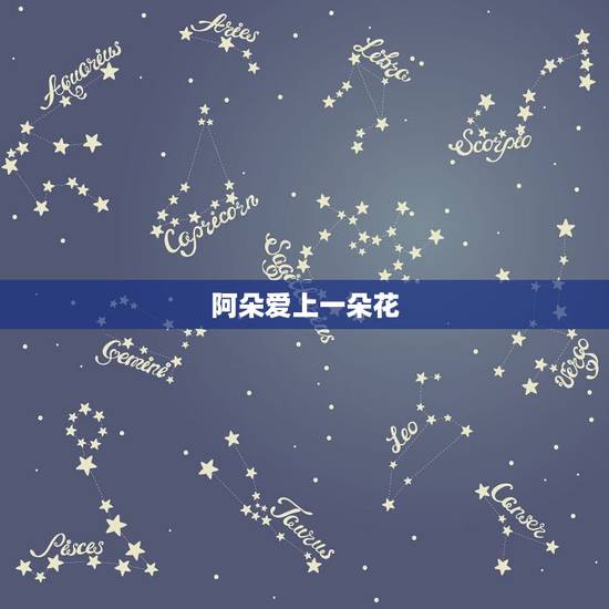 阿朵爱上一朵花，谁知道一人一花（阿朵）的歌词？