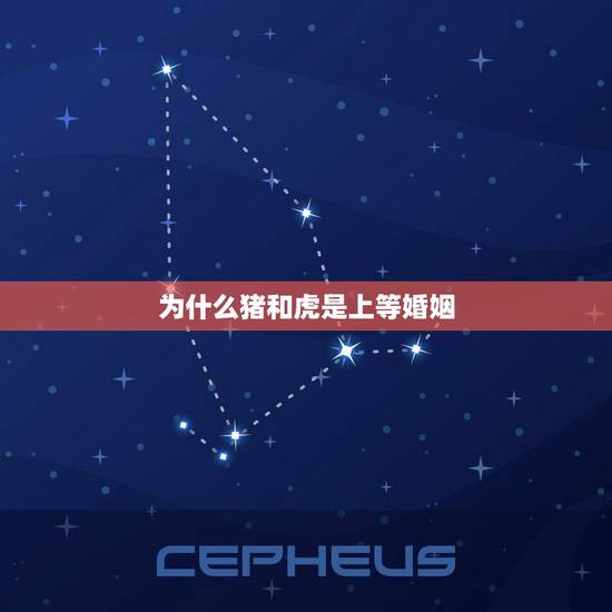 为什么猪和虎是上等婚姻,猪虎婚姻配对 八字五行 为什么猪和虎是上等婚姻,猪虎婚姻配对 八字五行