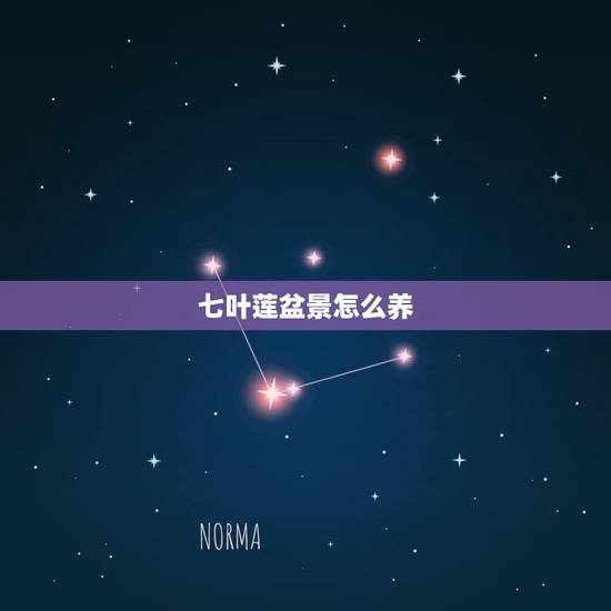 七叶莲盆景怎么养，七叶莲如何养殖？