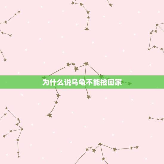 为什么说乌龟不能捡回家，路上的乌龟能捡回家吗