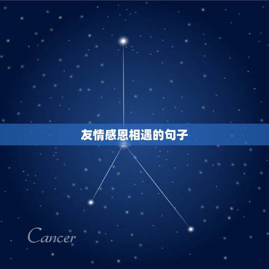 友情感恩相遇的句子，感谢遇见朋友的句子