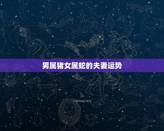 男属猪女属蛇的夫妻运势，属蛇男和属猪女结婚别人说相克，有什么破解方法吗