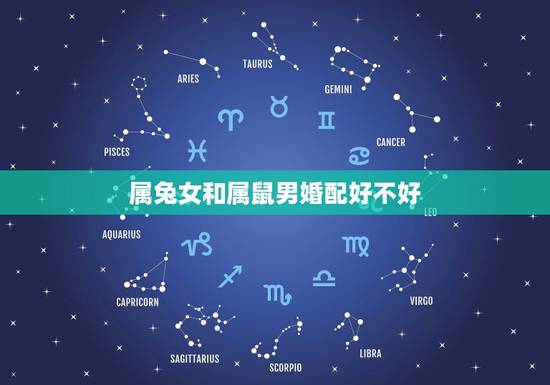 属兔女和属鼠男婚配好不好,属兔和属鼠相配吗?为什么? 属兔女和属鼠男婚配好不好,属兔和属鼠相配吗?为什么?