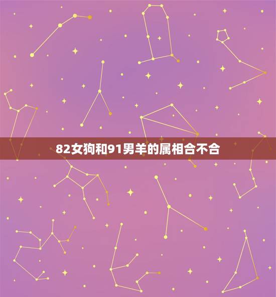 82女狗和91男羊的属相合不合，我是82年属狗女，然后遇到了一个91年