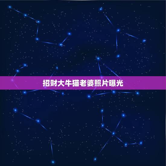 招财大牛猫老婆照片曝光,招财大牛猫老婆为什么叫后妈? 招财大牛猫老婆照片曝光,招财大牛猫老婆为什么叫后妈?