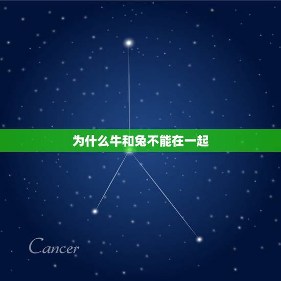 为什么牛和兔不能在一起,兔子跟牛在一起的图片 为什么牛和兔不能在一起,兔子跟牛在一起的图片