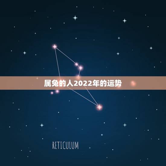 属兔的人2022年的运势,2021属兔人全年运势1987 属兔的人2022年的运势,2021属兔人全年运势1987