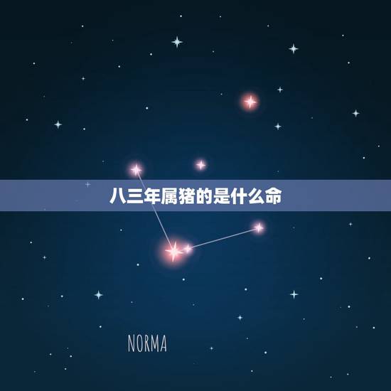 八三年属猪的是什么命,八三年三月初八早上属猪的什么命 八三年属猪的是什么命,八三年三月初八早上属猪的什么命