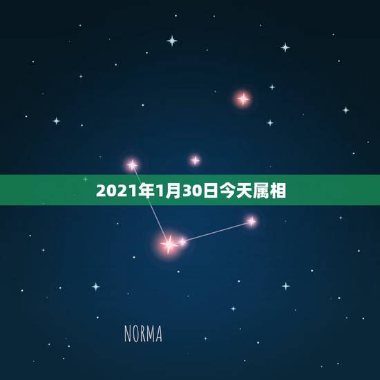 2021年1月30日今天属相，2021年今天属什么生肖？