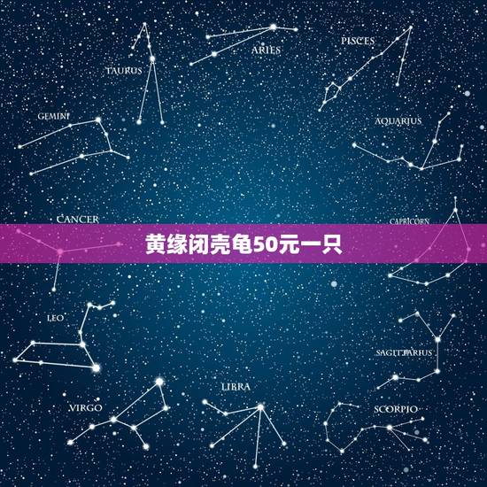 黄缘闭壳龟50元一只,一斤重的黄缘闭壳龟值多少钱?刚看到一只 黄缘闭壳龟50元一只,一斤重的黄缘闭壳龟值多少钱?刚看到一只