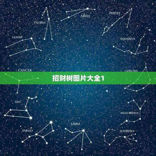 招财树图片大全1,发财树图片,是否有毒 招财树图片大全1,发财树图片,是否有毒