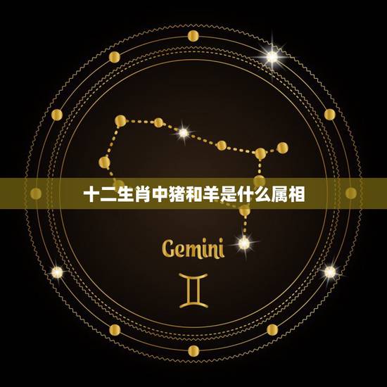 十二生肖中猪和羊是什么属相,属猪的和什么属相最配 十二生肖中猪和羊是什么属相,属猪的和什么属相最配