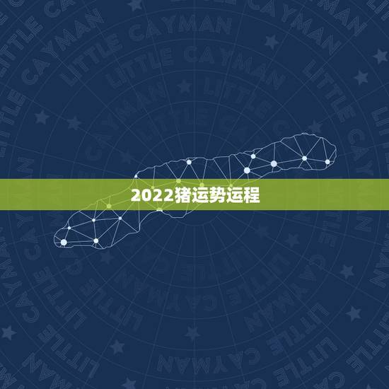 2022猪运势运程,2022年12生肖运势解析 2022猪运势运程,2022年12生肖运势解析