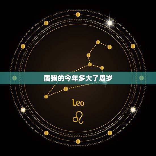 属猪的今年多大了周岁，属猪的今年多大8几年的