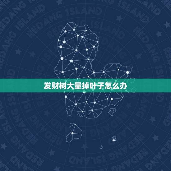 发财树大量掉叶子怎么办,最近几天发财树的叶子开始萎缩、变软、变黄,慢慢 发财树大量掉叶子怎么办,最近几天发财树的叶子开始萎缩、变软、变黄,慢慢