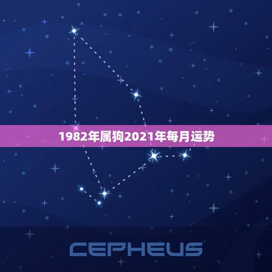 1982年属狗2021年每月运势，1982年属狗2021年运势及运程