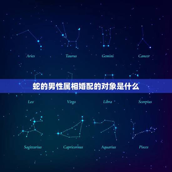 蛇的男性属相婚配的对象是什么，男的属蛇，结婚妨什么属相
