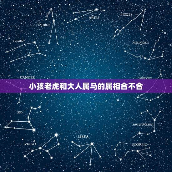 小孩老虎和大人属马的属相合不合，属虎和属马相不相克