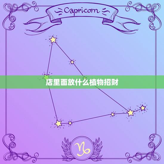 店里面放什么植物招财，小饭店里放什么植物招财