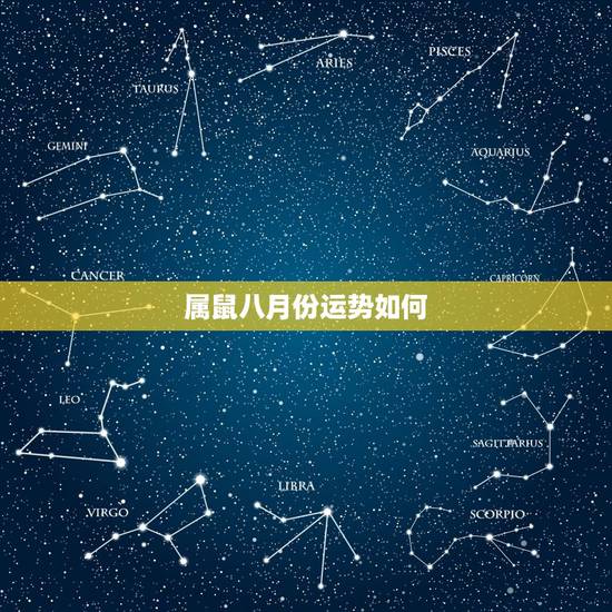 属鼠八月份运势如何，84属鼠摩羯座运势8月财运