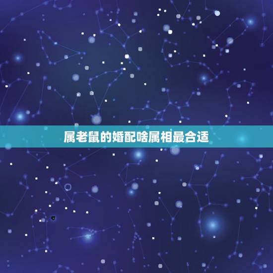 属老鼠的婚配啥属相最合适,属鼠的和什么属相最配 属鼠的属相婚配表 属老鼠的婚配啥属相最合适,属鼠的和什么属相最配 属鼠的属相婚配表