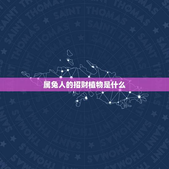 属兔人的招财植物是什么，属兔的人种什么花好？