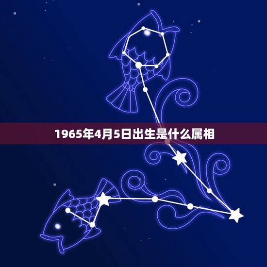 1965年4月5日出生是什么属相,65年4月初5属蛇的人是什么星座 1965年4月5日出生是什么属相,65年4月初5属蛇的人是什么星座