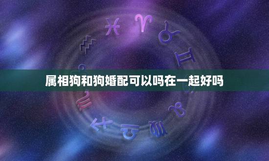 属相狗和狗婚配可以吗在一起好吗,属狗婚配和什么属相合适 属相狗和狗婚配可以吗在一起好吗,属狗婚配和什么属相合适