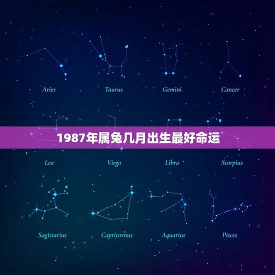 1987年属兔几月出生最好命运，1987年属兔是什么命那个月出生最好