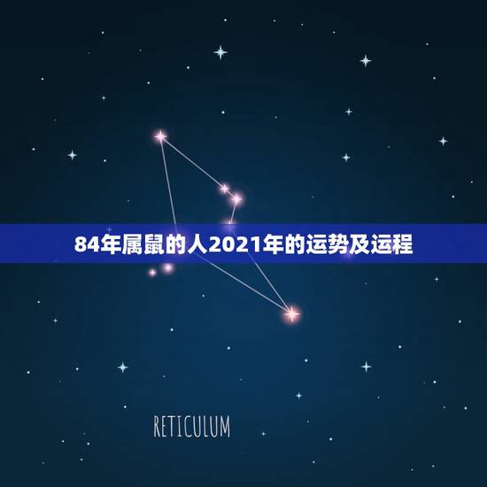 84年属鼠的人2021年的运势及运程,84鼠2021年运势及运程 84年属鼠的人2021年的运势及运程,84鼠2021年运势及运程
