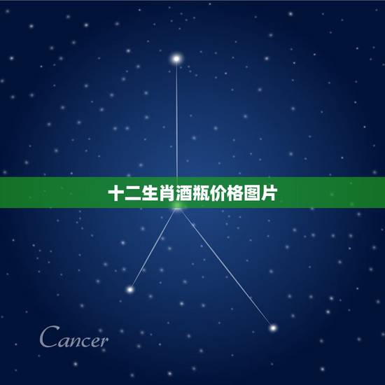 十二生肖酒瓶价格图片，哪位有沱牌十二生肖、道光十二金钗空酒瓶出售？多少