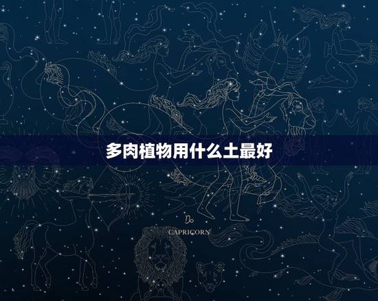 多肉植物用什么土最好,如何养多肉5如何选择合适的土 多肉植物用什么土最好,如何养多肉5如何选择合适的土