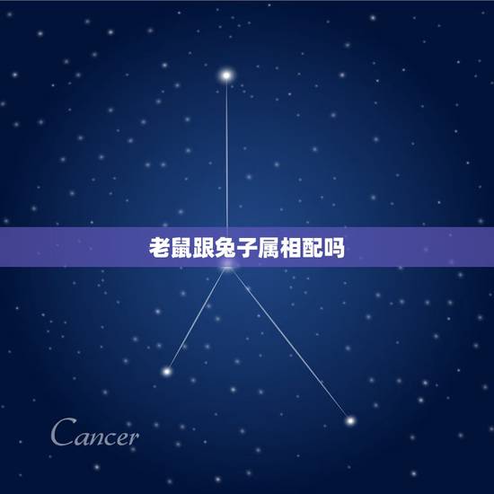 老鼠跟兔子属相配吗,1996鼠男和1999兔女 老鼠跟兔子属相配吗,1996鼠男和1999兔女