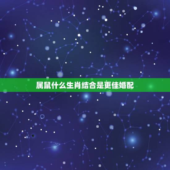 属鼠什么生肖结合是更佳婚配,属鼠的更佳婚配属相 属鼠什么生肖结合是更佳婚配,属鼠的更佳婚配属相