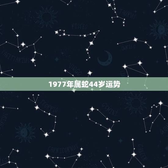1977年属蛇44岁运势,77年属蛇44岁运势 1977年属蛇44岁运势,77年属蛇44岁运势
