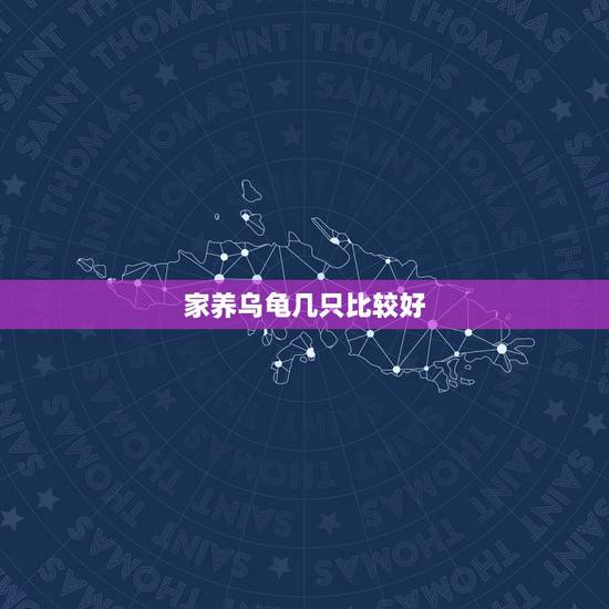 家养乌龟几只比较好，家里养乌龟一般养几只