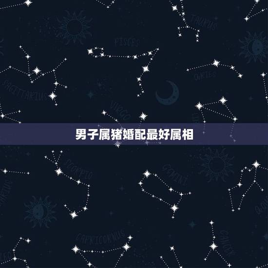 男子属猪婚配最好属相，属猪的与什么相配最好