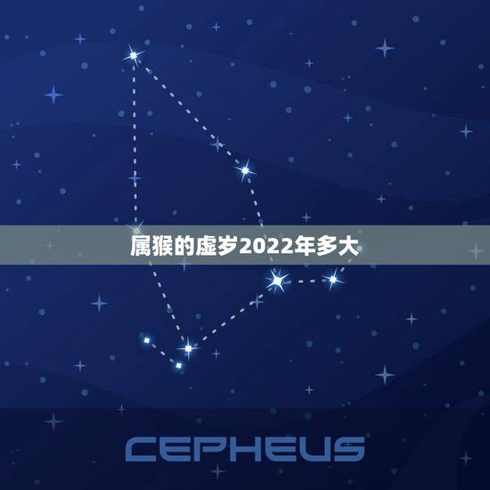 属猴的虚岁2022年多大，80年属猴女2022年运势