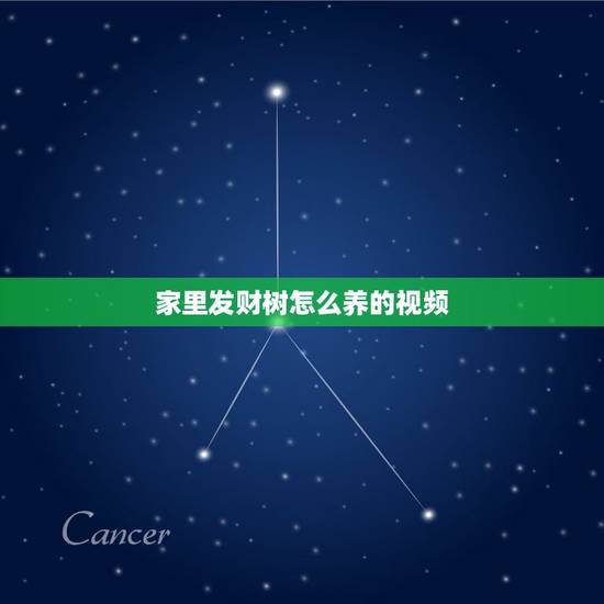 家里发财树怎么养的视频,怎么养发财树? 家里发财树怎么养的视频,怎么养发财树?