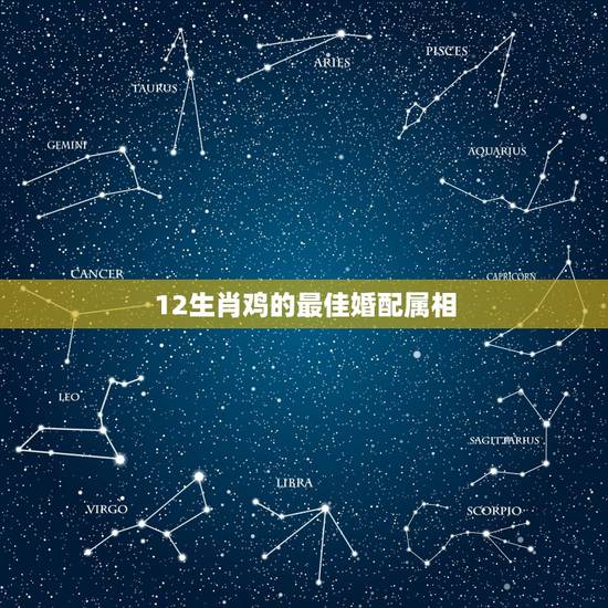 12生肖鸡的最佳婚配属相,属鸡和什么属相最好 12生肖鸡的最佳婚配属相,属鸡和什么属相最好