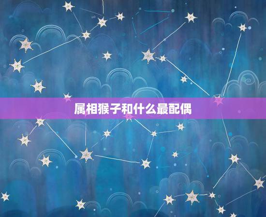 属相猴子和什么最配偶,属猴最佳配对属相? 属相猴子和什么最配偶,属猴最佳配对属相?