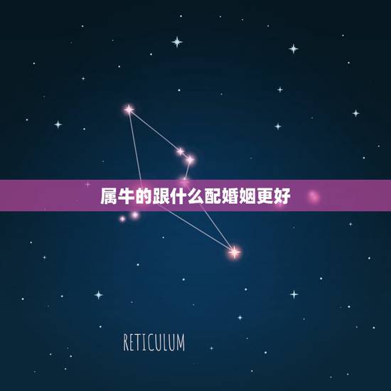 属牛的跟什么配婚姻更好，属牛和属什么的最合适