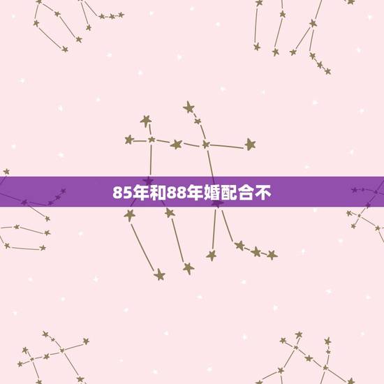 85年和88年婚配合不,男85年属牛跟女88年属龙相配吗? 85年和88年婚配合不,男85年属牛跟女88年属龙相配吗?