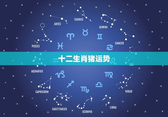 十二生肖猪运势，十二生肖属猪，1971年10月15日岀生的人一生运势