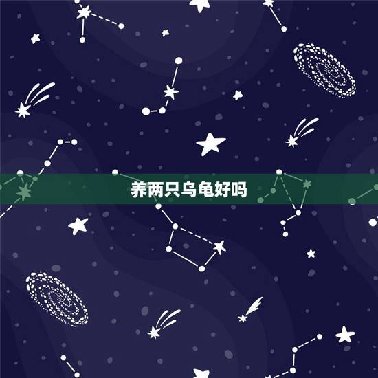 养两只乌龟好吗,乌龟养几只比较吉利? 养两只乌龟好吗,乌龟养几只比较吉利?