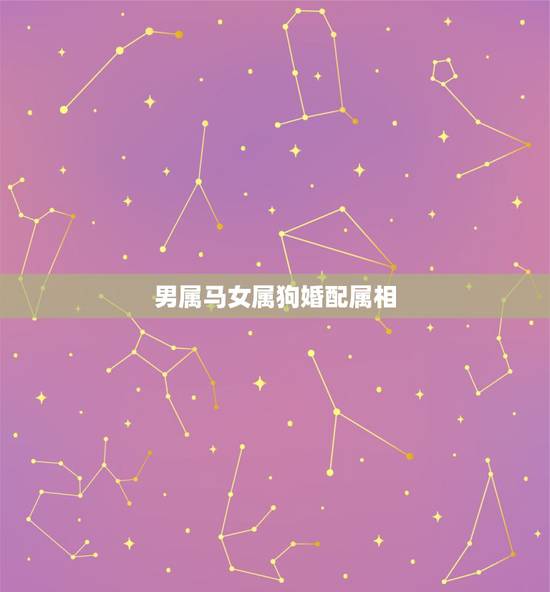 男属马女属狗婚配属相,属马男和属狗女相配吗 男属马女属狗婚配属相,属马男和属狗女相配吗