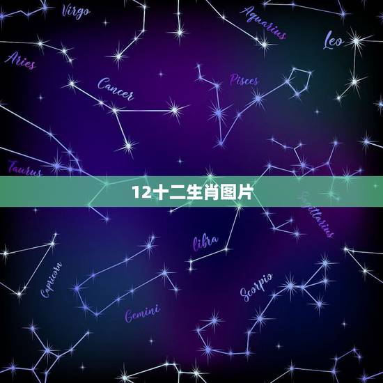 12十二生肖图片,12生肖顺序年龄表 12十二生肖图片,12生肖顺序年龄表